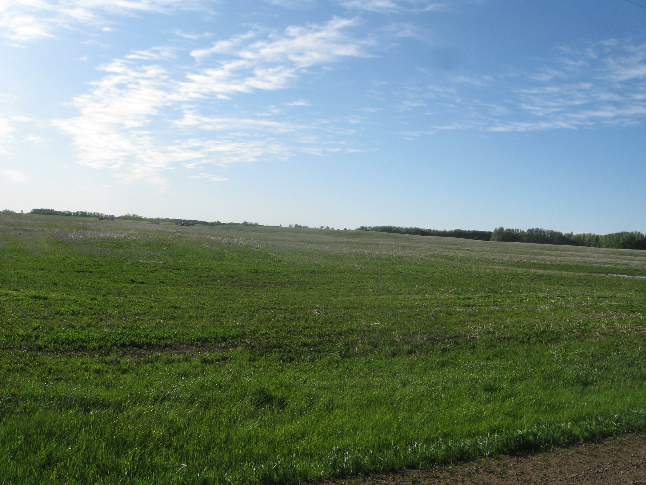 Wheatland Wyoming News - da7ebit
