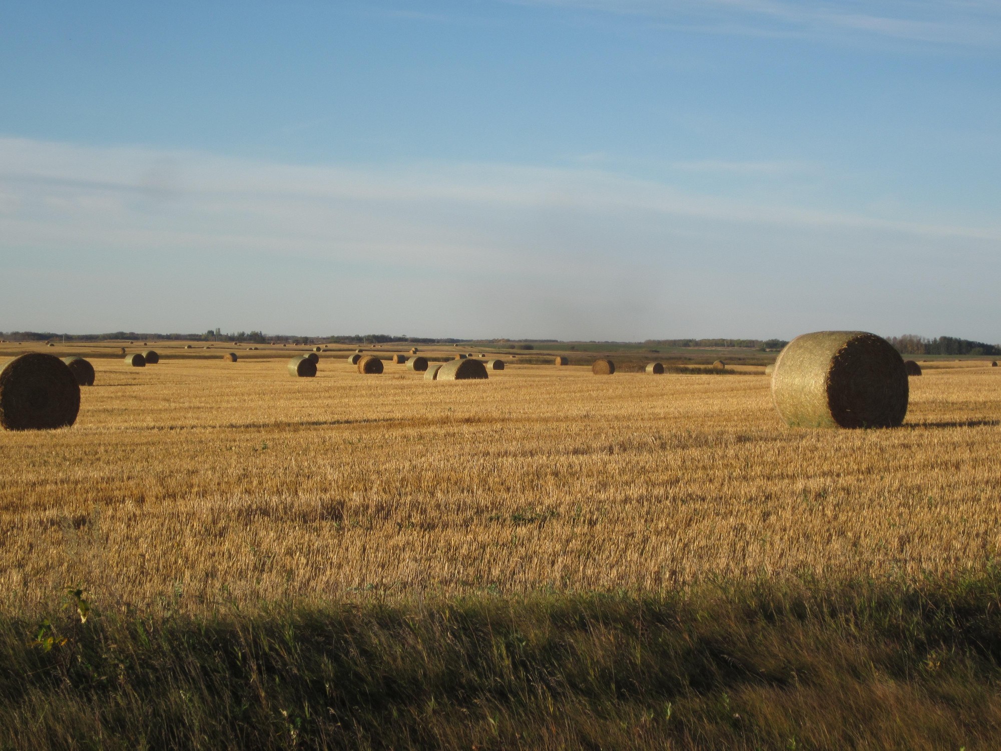Saskatchewan Farmland Values Trend - 2016: News - Serecon